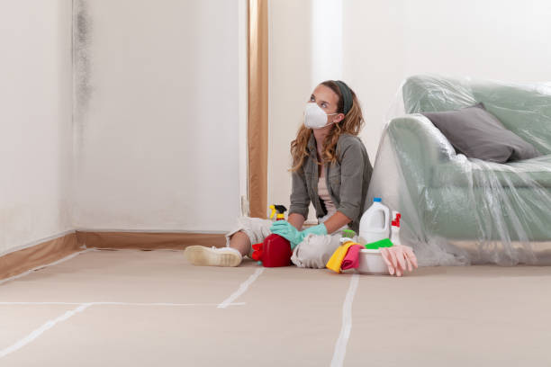 Reliable Commercial Mold Remediation contractor in Lilburn, GA by WQB Mold Removal